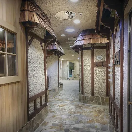 卡尔斯巴德广场医疗spa和康体酒店 卡罗维发利