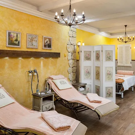 Carlsbad Plaza Medical & Wellness 5* Karlsbad