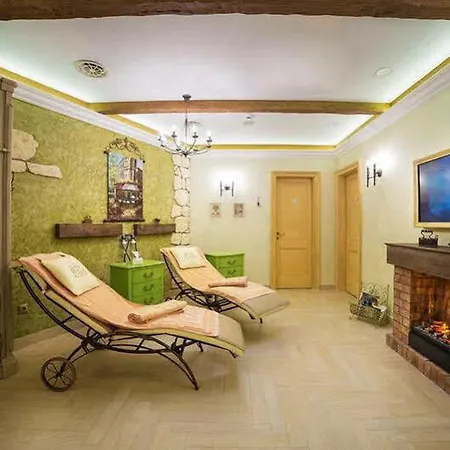 فندق كارلسباد بلازا ميديكال سبا آند ولنس هوتل 5*