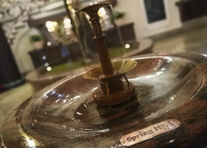 Carlsbad Plaza Medical & Wellness Hotel